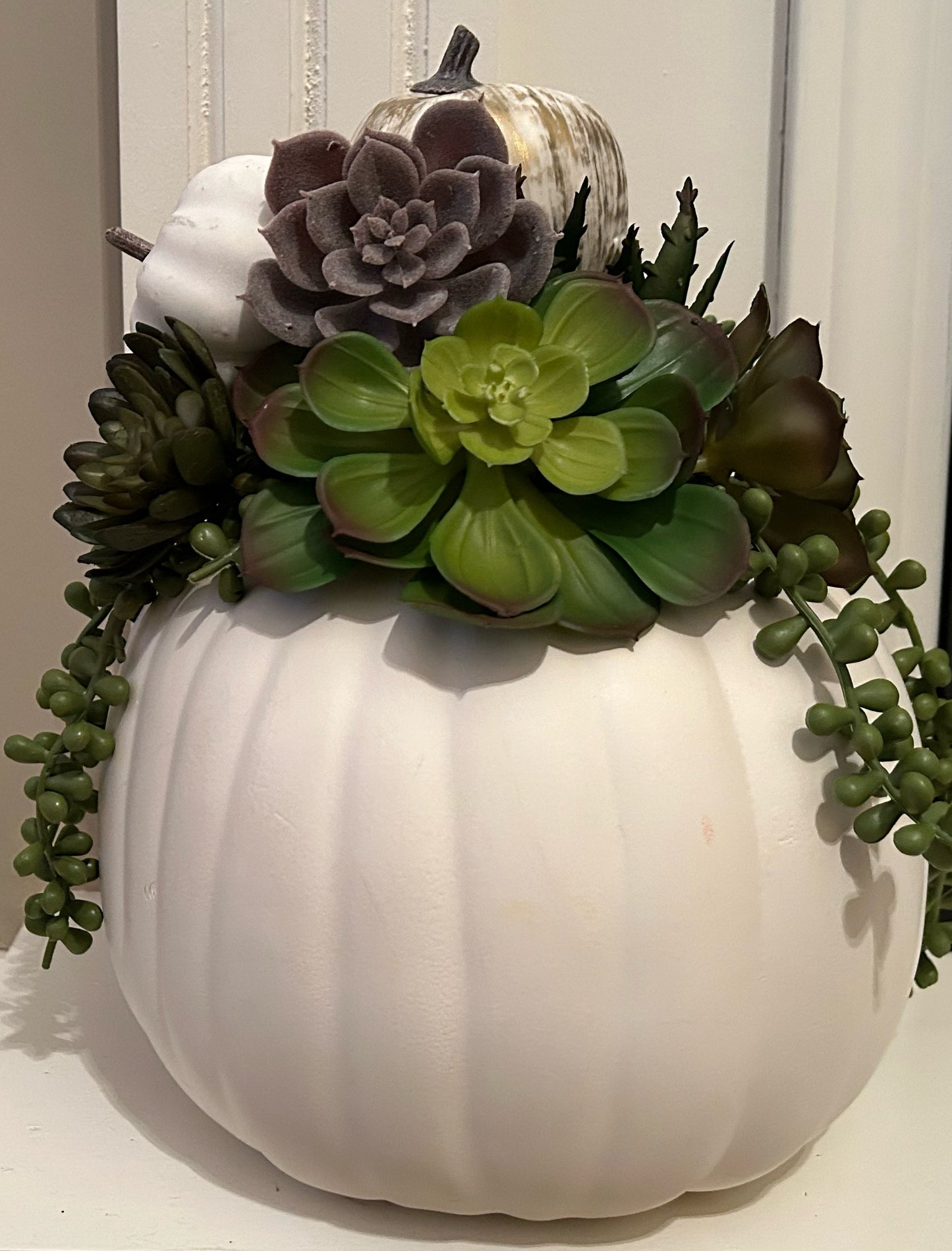 Harvest Succulent Pumpkin Arrangement