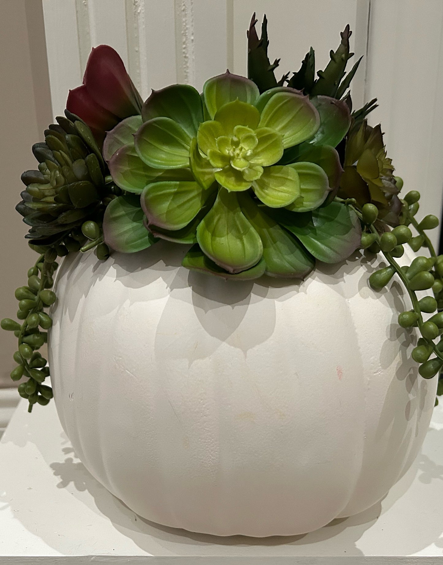 Harvest Succulent Pumpkin Arrangement