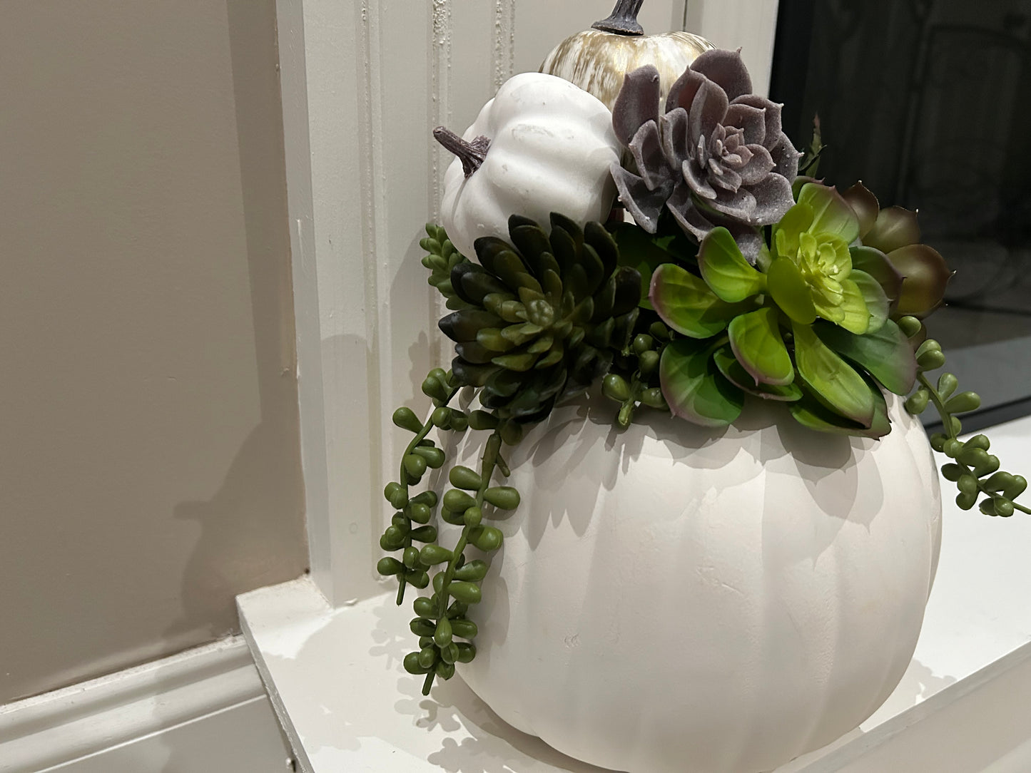 Harvest Succulent Pumpkin Arrangement