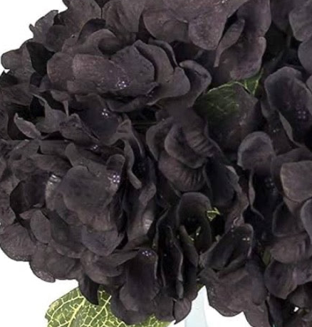 Royalty Blooms Floral Arrangement for SGOE Booked Events